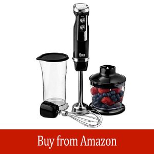 Epica 4-in-1 Immersion Hand Blender